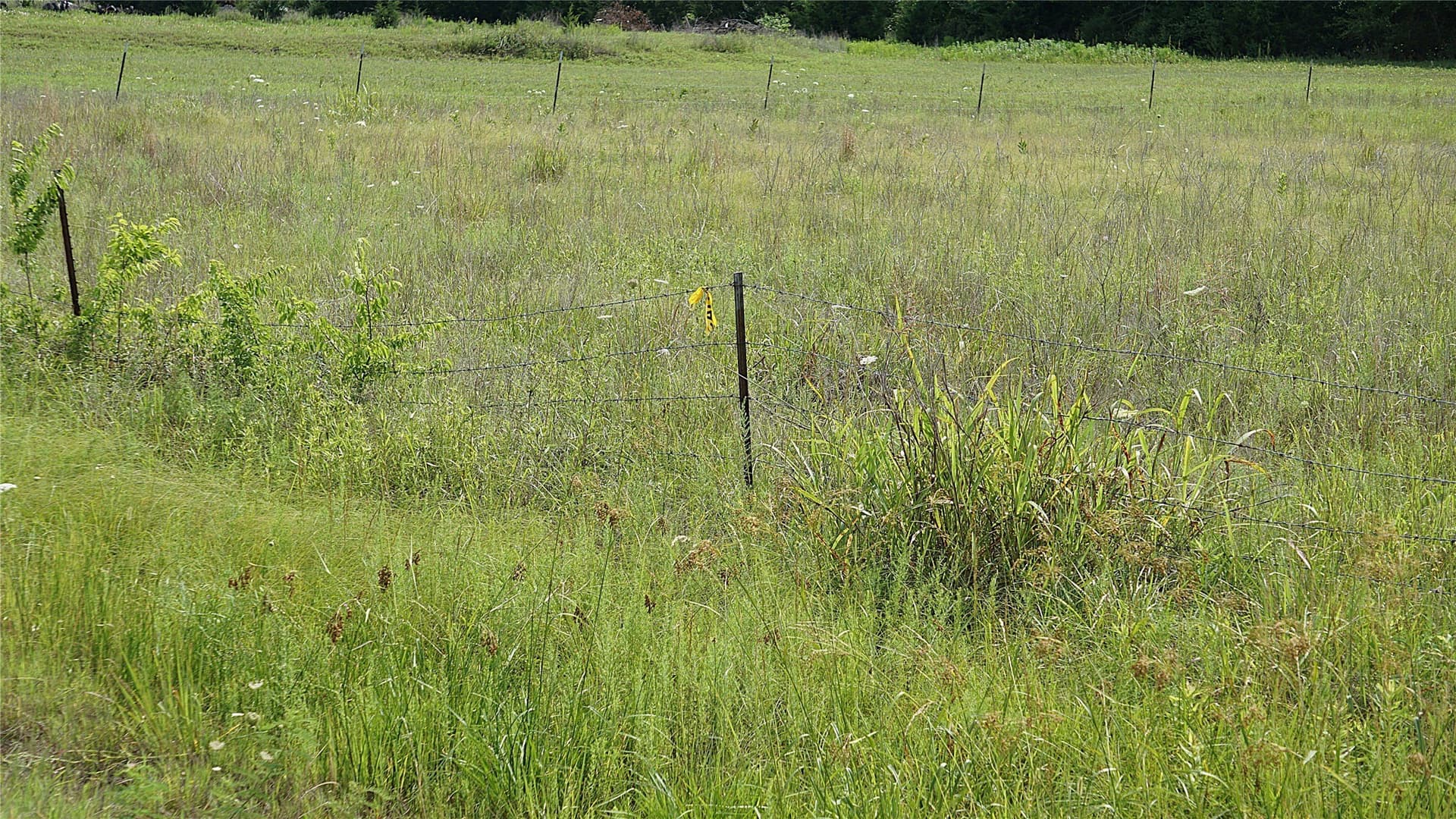 2 acres in Hunt County - photo 9