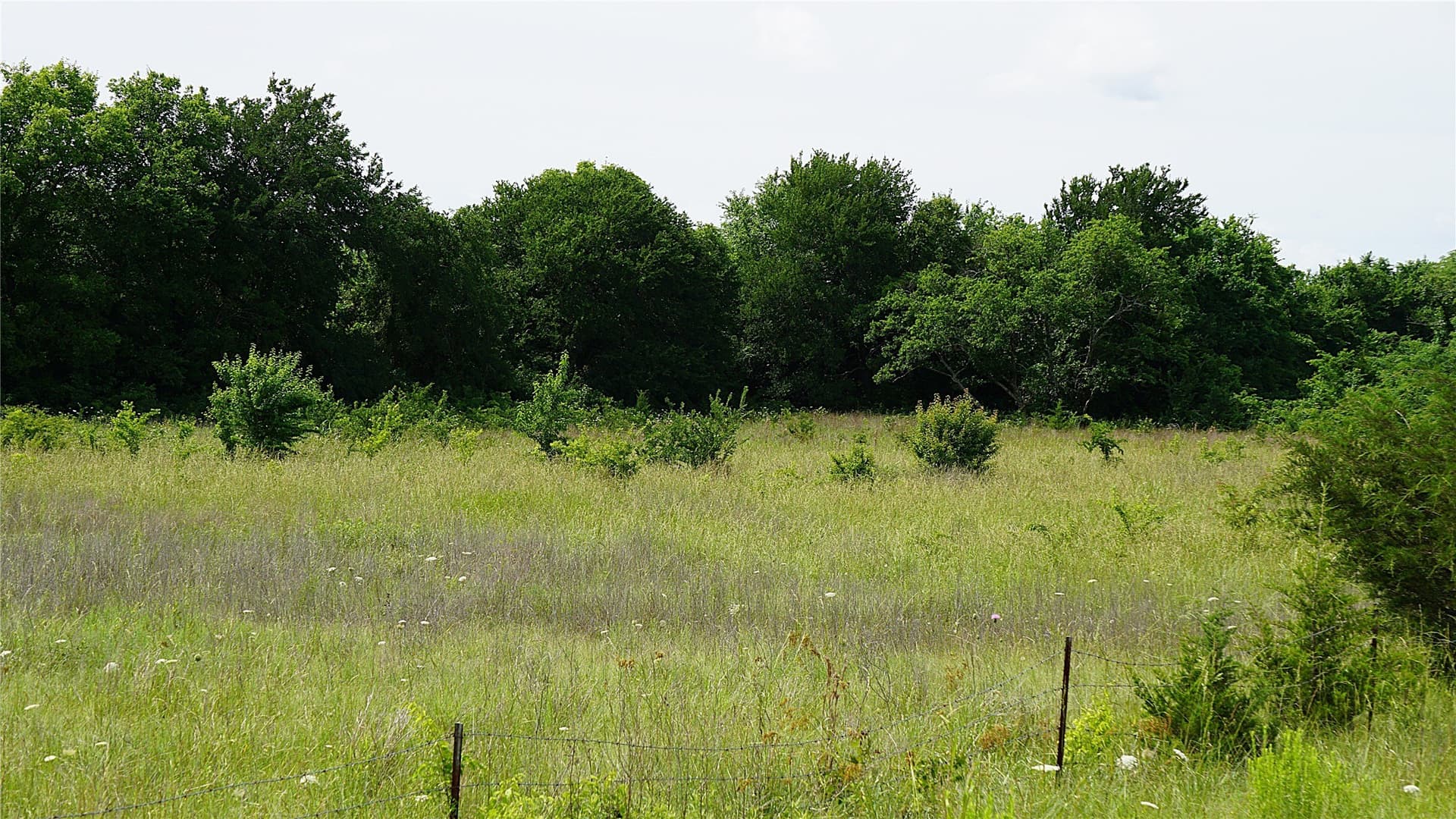 2 acres in Hunt County - photo 12