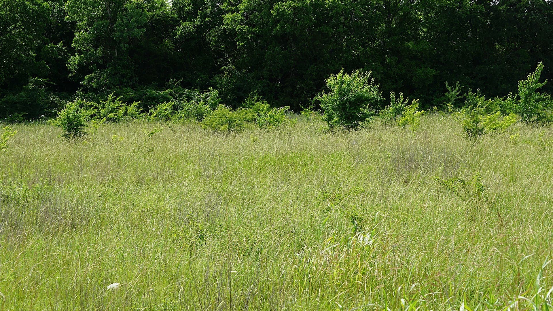 2 acres in Hunt County - photo 15