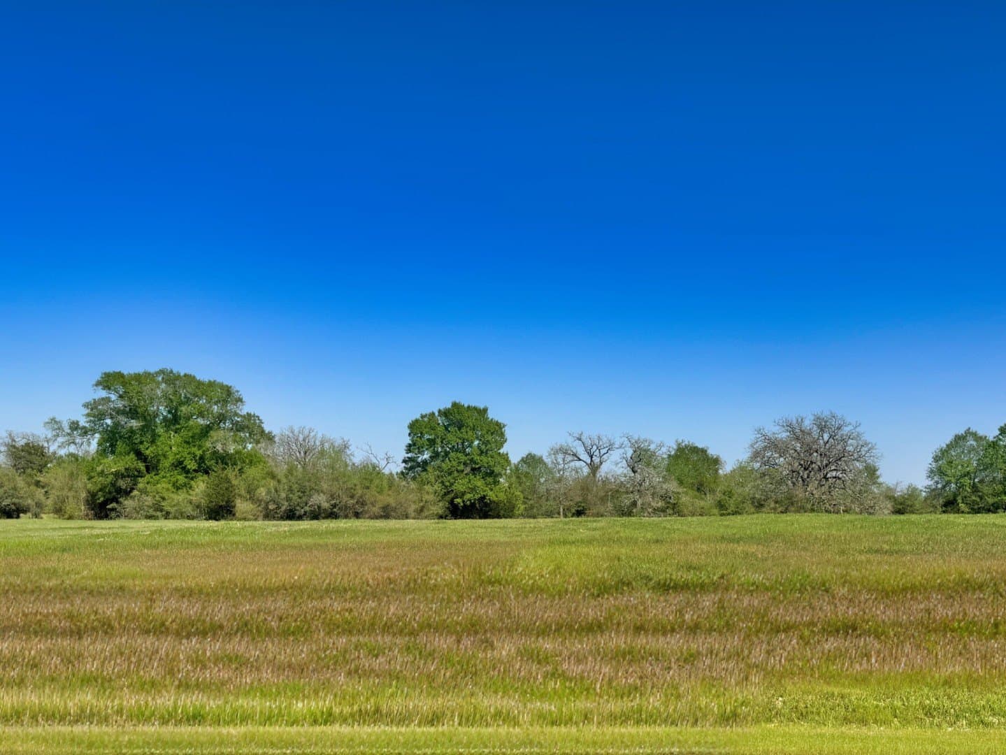 1.25 acres in Grimes County