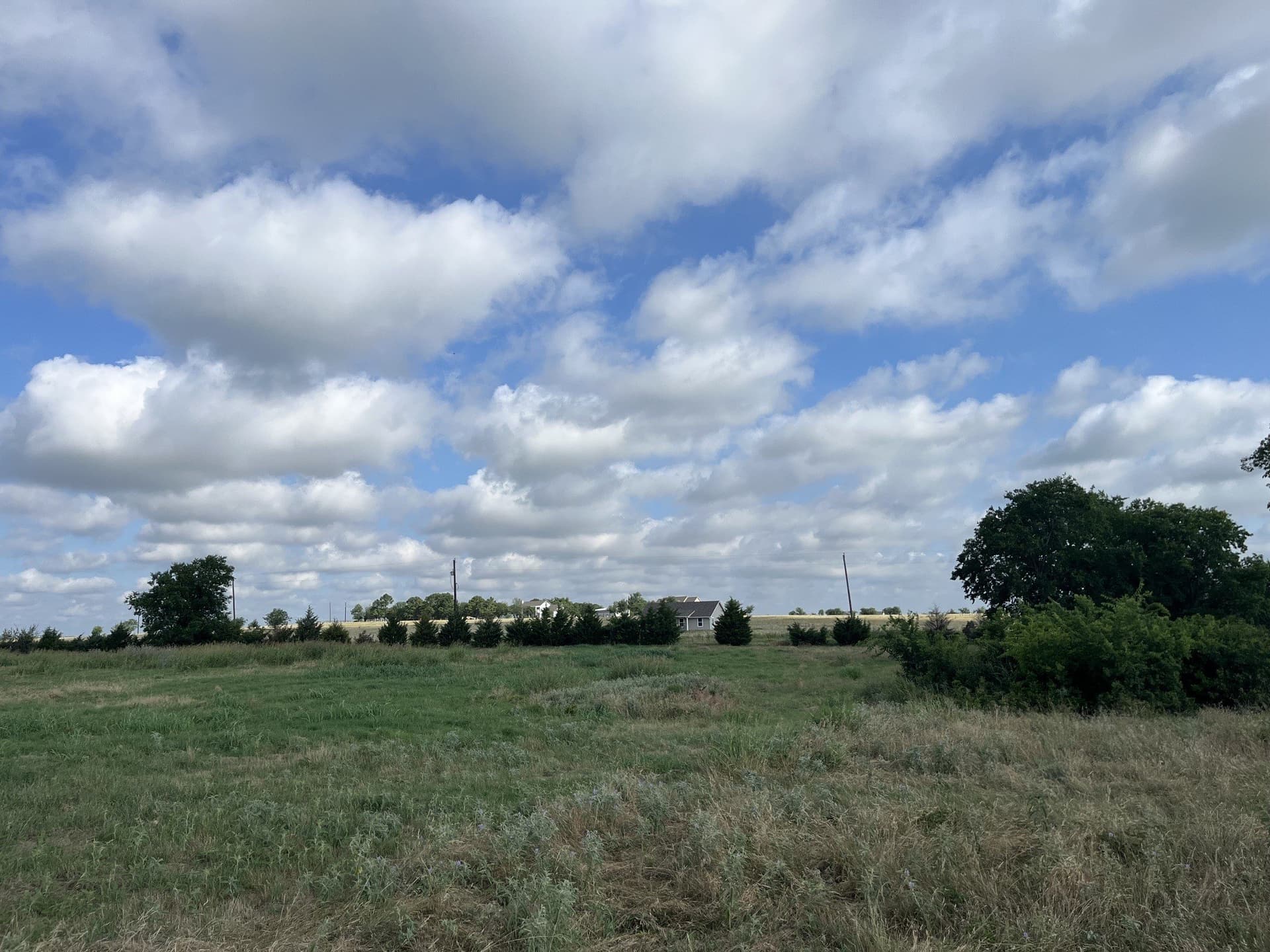 8 acres in Denton County gallery image 3