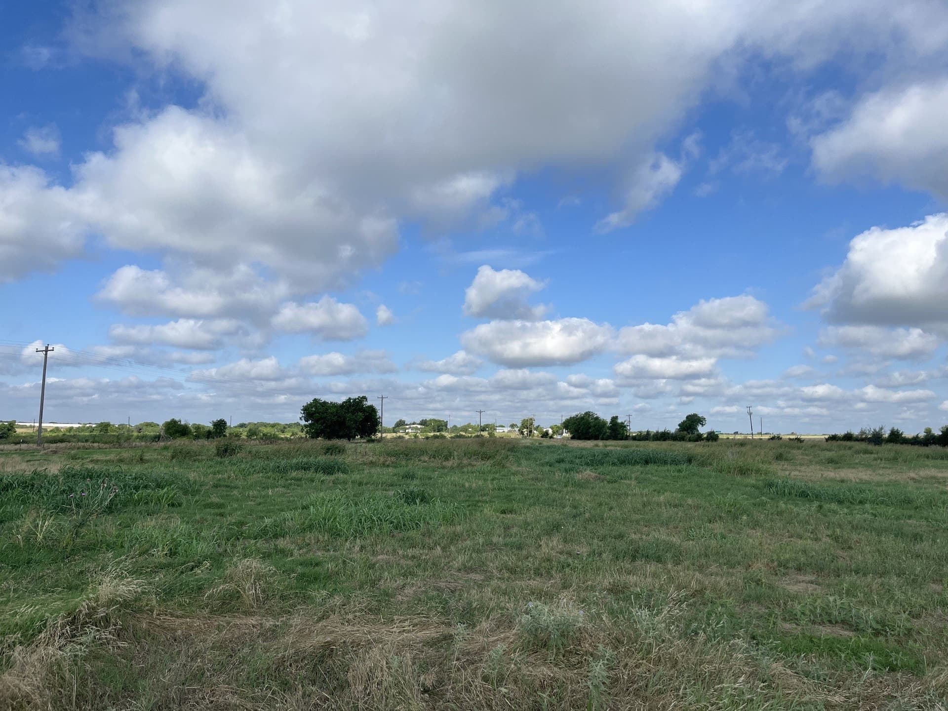 8 acres in Denton County gallery image 2