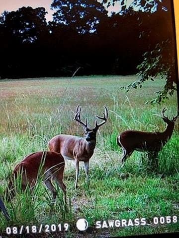 245.5 acres in Henderson County - photo 59