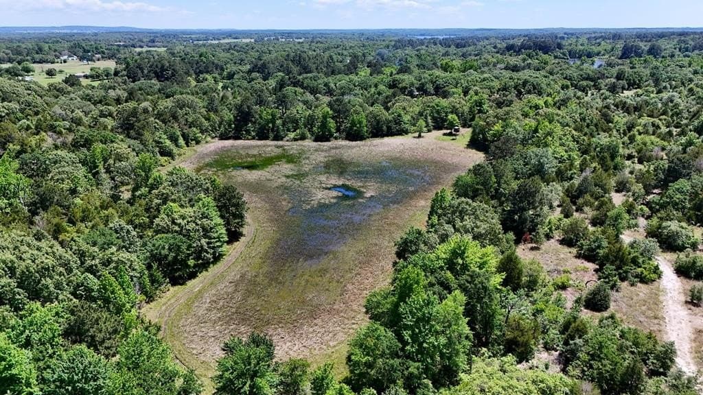 245.5 acres in Henderson County - photo 56
