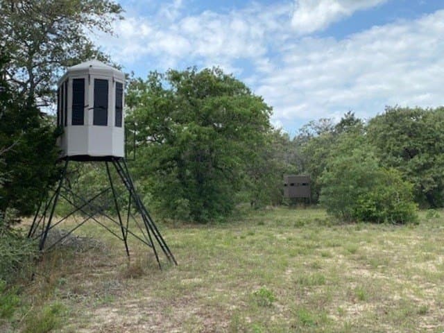 245.5 acres in Henderson County - photo 47