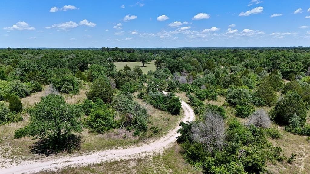 245.5 acres in Henderson County - photo 53