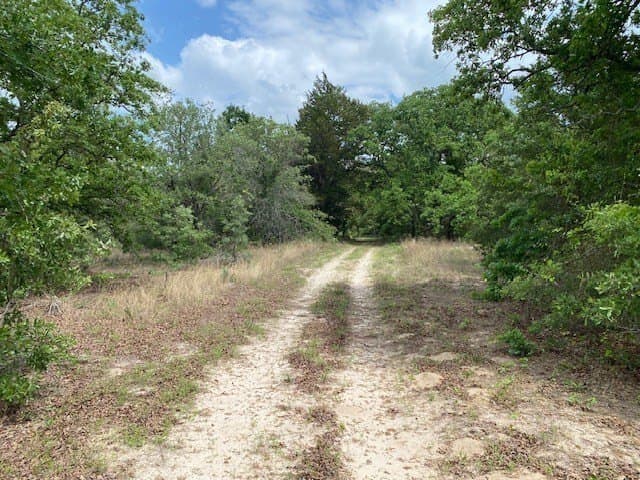 245.5 acres in Henderson County - photo 51