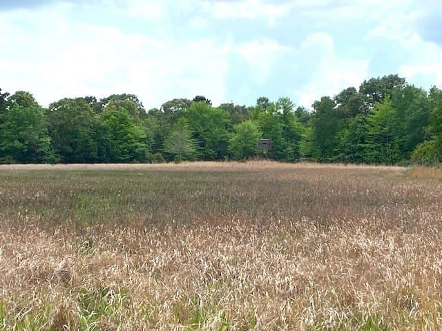 245.5 acres in Henderson County - photo 44