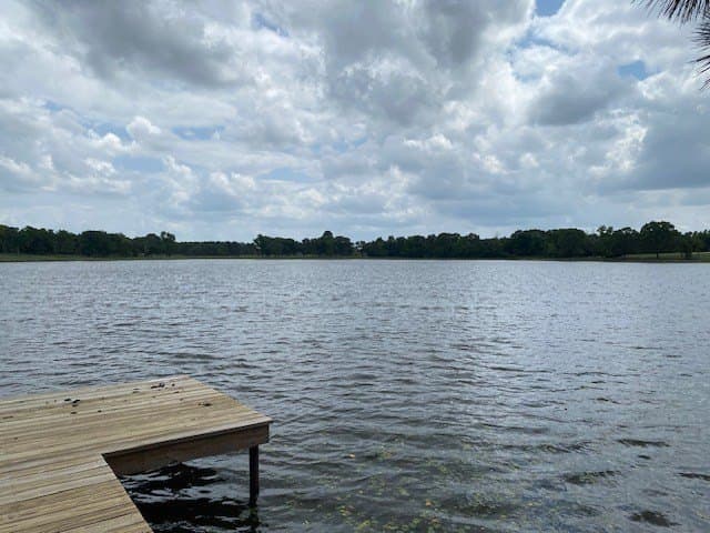 245.5 acres in Henderson County - photo 8
