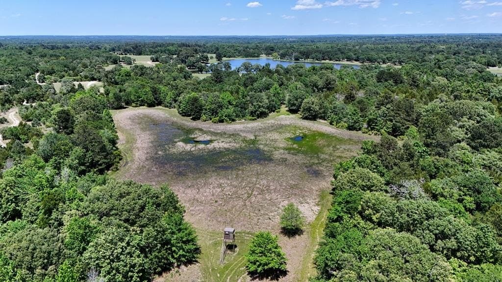 245.5 acres in Henderson County - photo 55