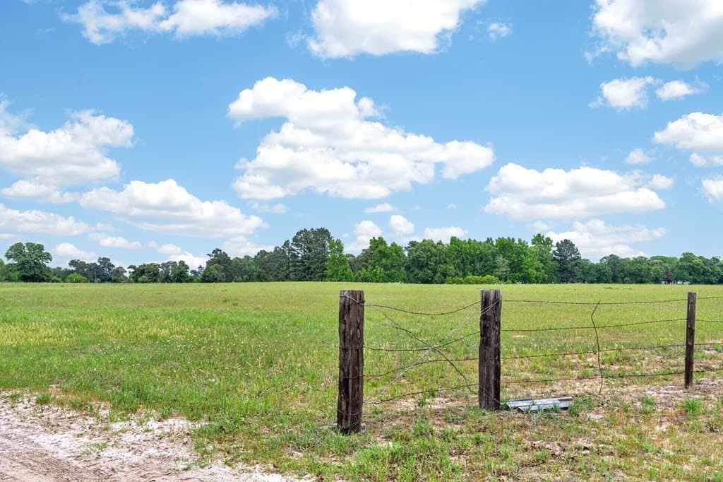 245.5 acres in Henderson County - photo 12