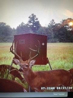 245.5 acres in Henderson County - photo 58