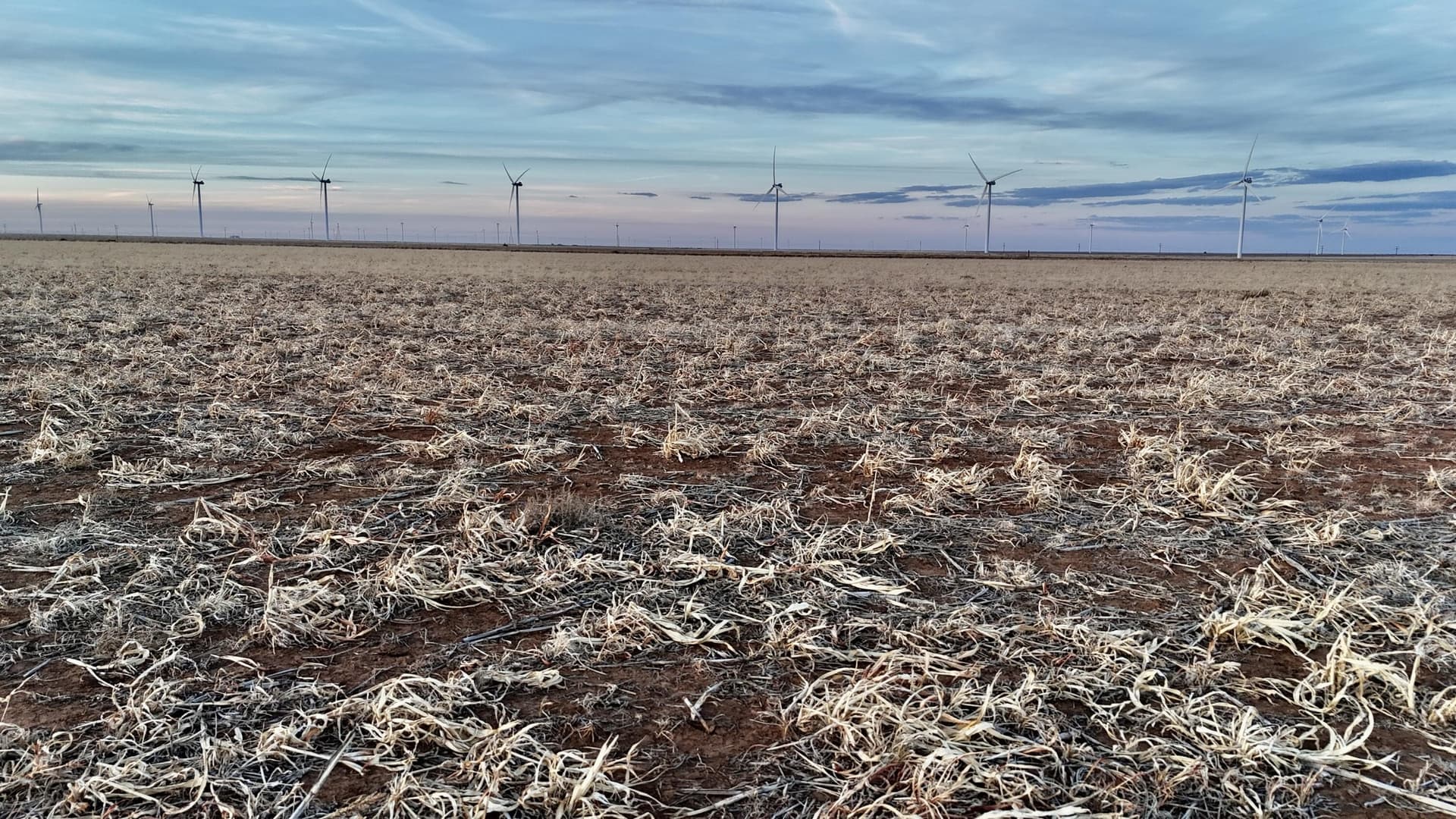 435 acres in Briscoe County - photo 6