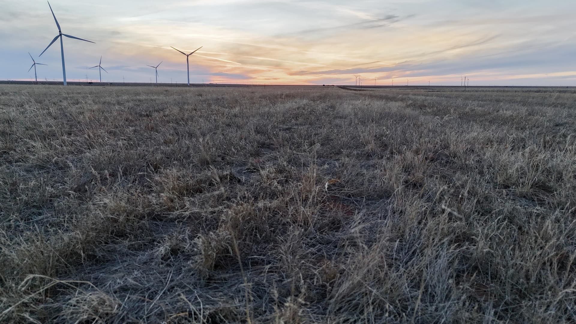 435 acres in Briscoe County - photo 21