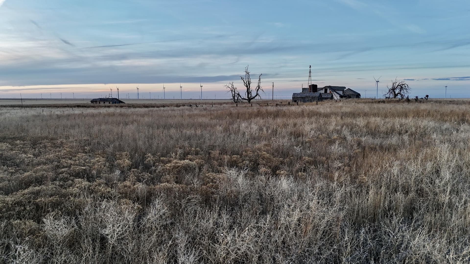 435 acres in Briscoe County - photo 14