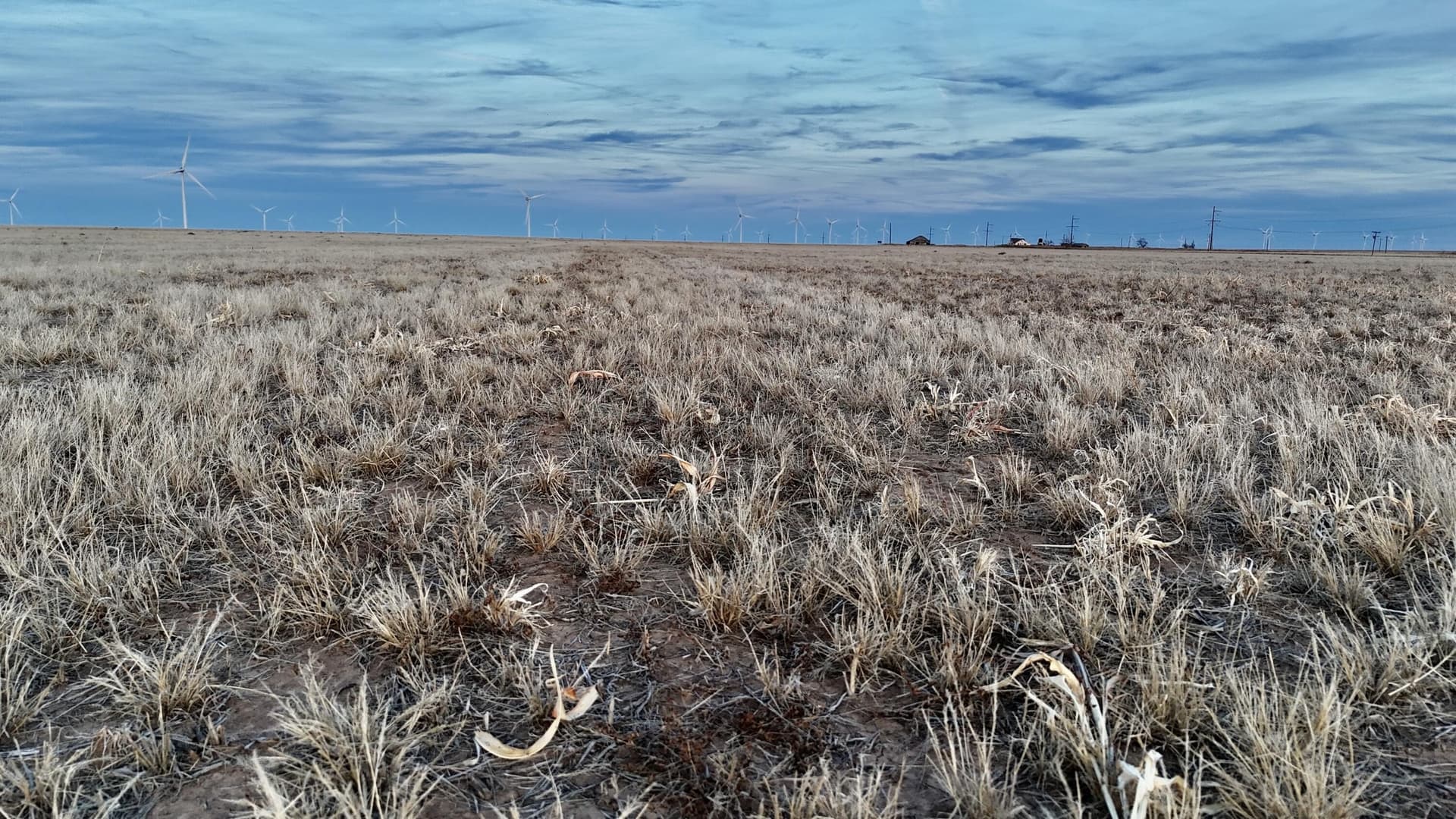 435 acres in Briscoe County - photo 10
