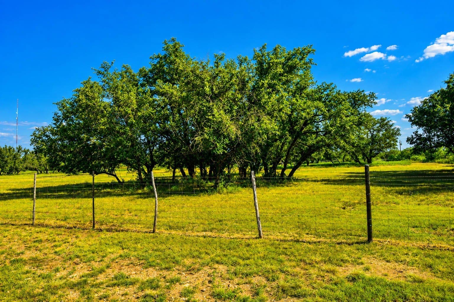 10.18 acres in McCulloch County - photo 16