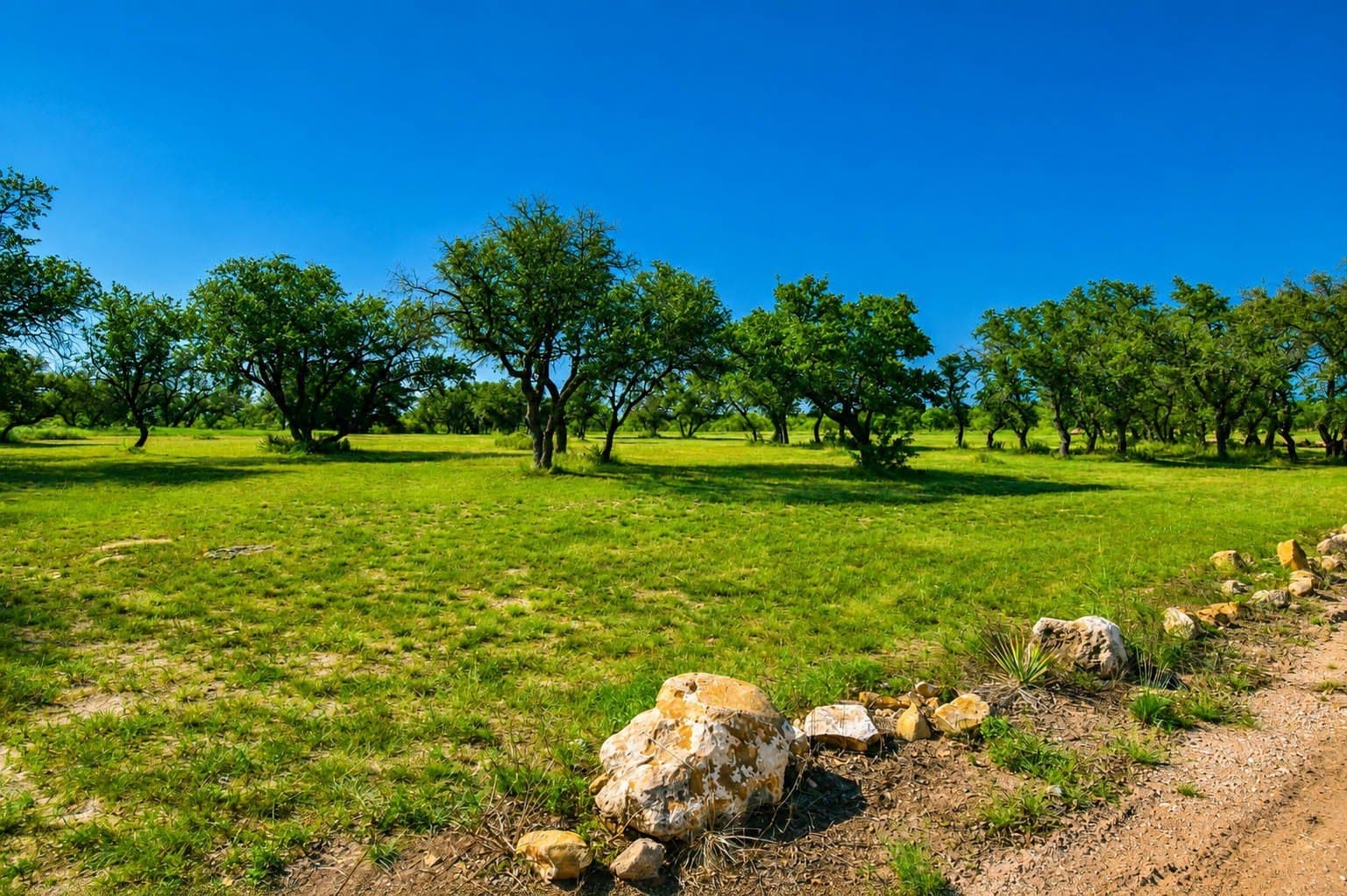 10.18 acres in McCulloch County - photo 29