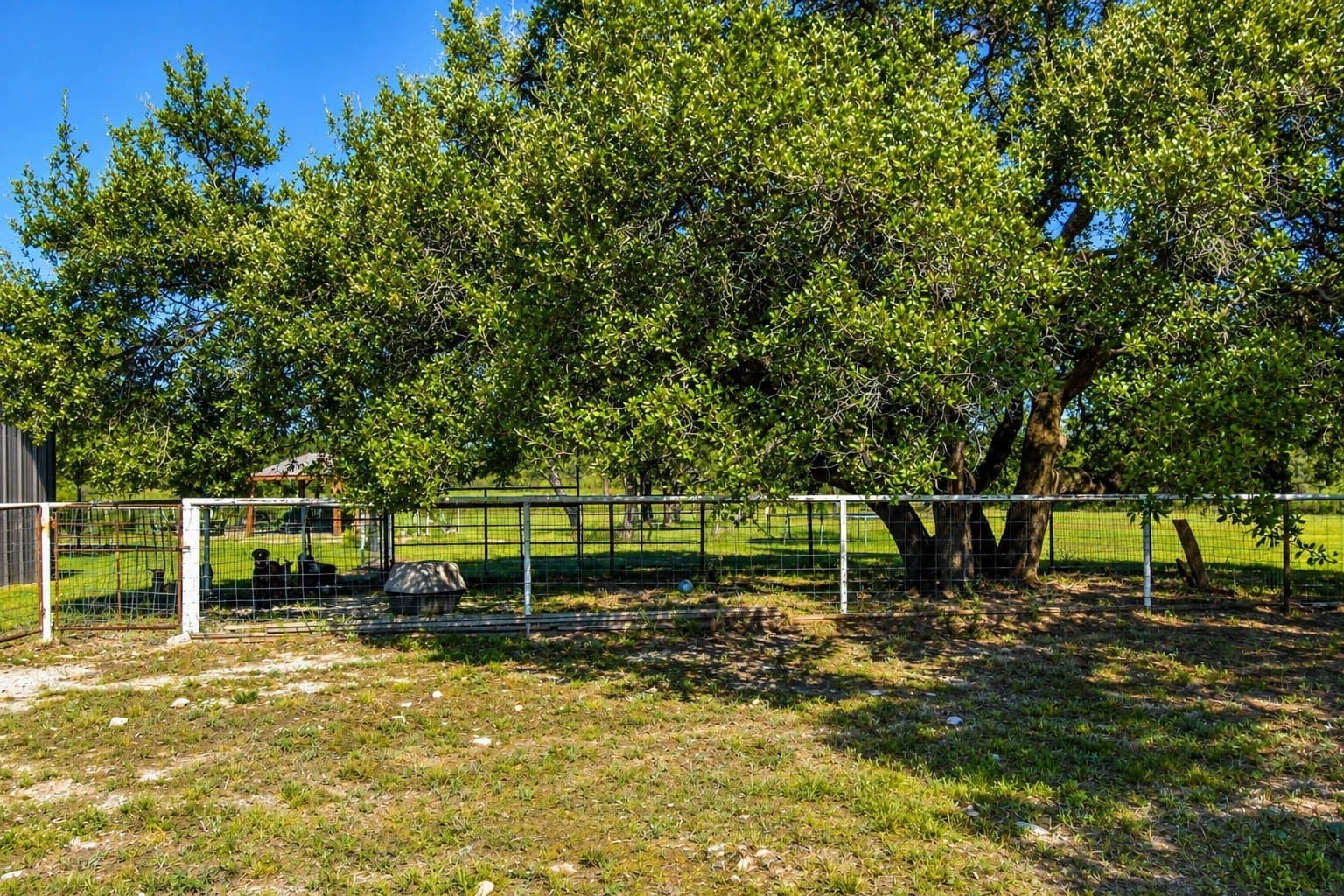 10.18 acres in McCulloch County - photo 24