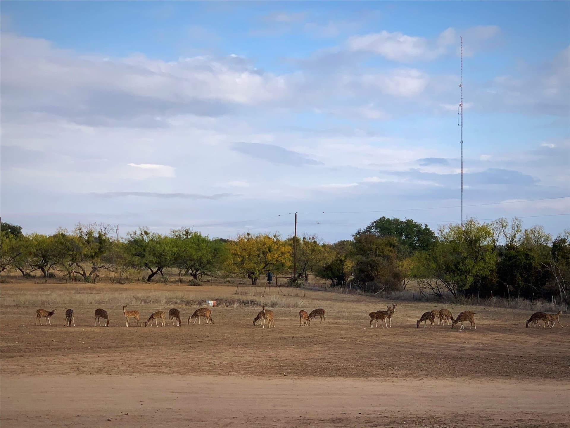 10.18 acres in McCulloch County - photo 34