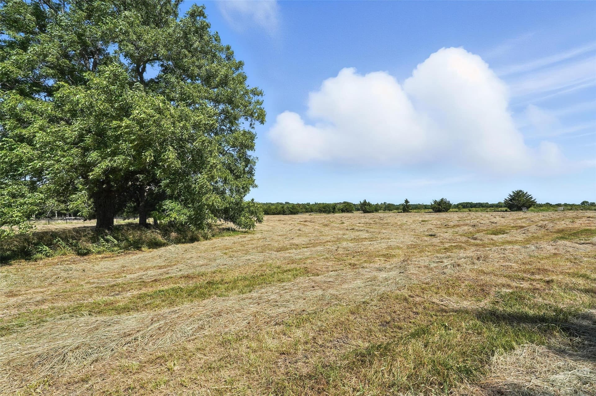 138.84 acres in Hunt County - photo 8