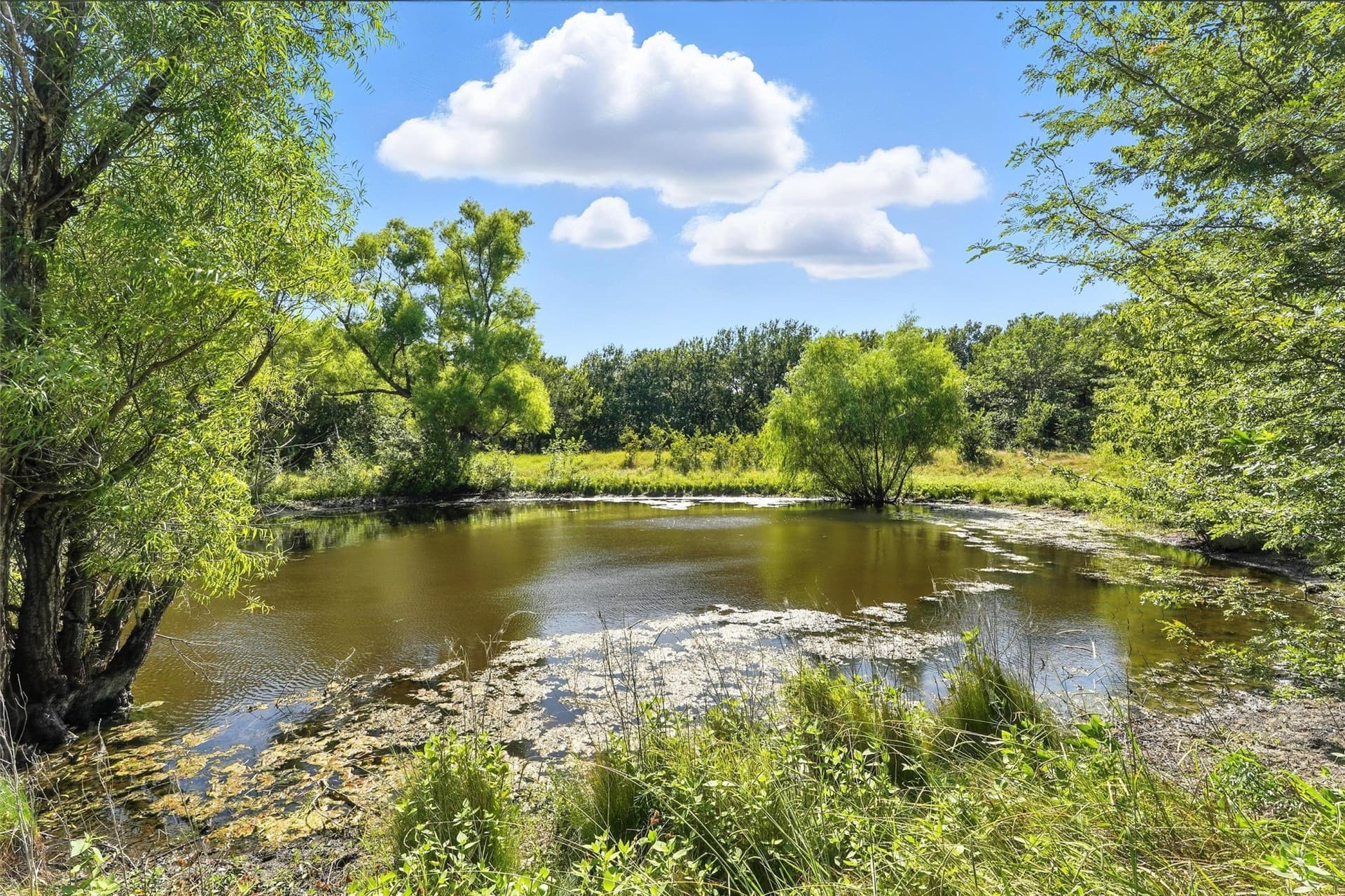 138.84 acres in Hunt County - photo 11