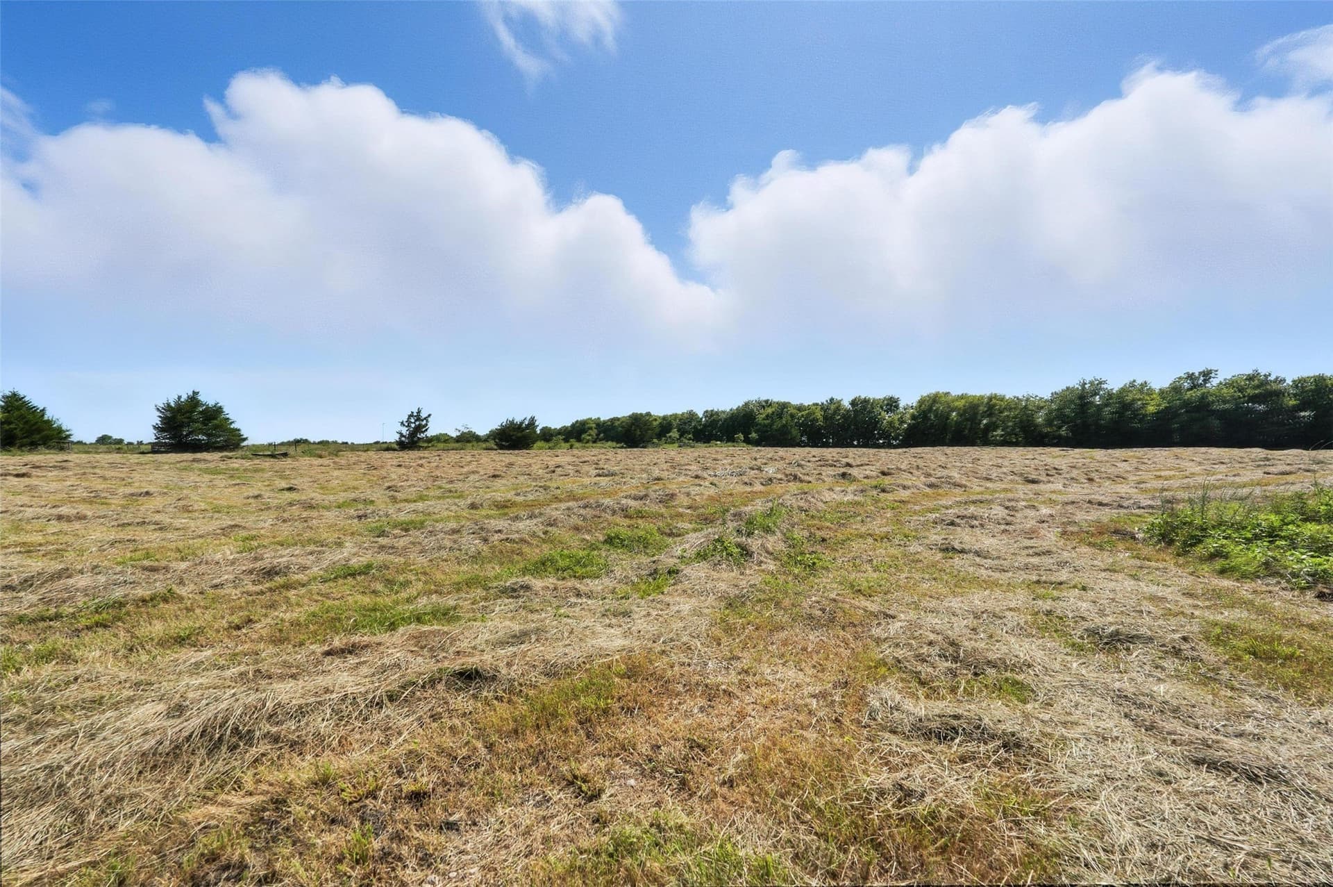 138.84 acres in Hunt County - photo 9
