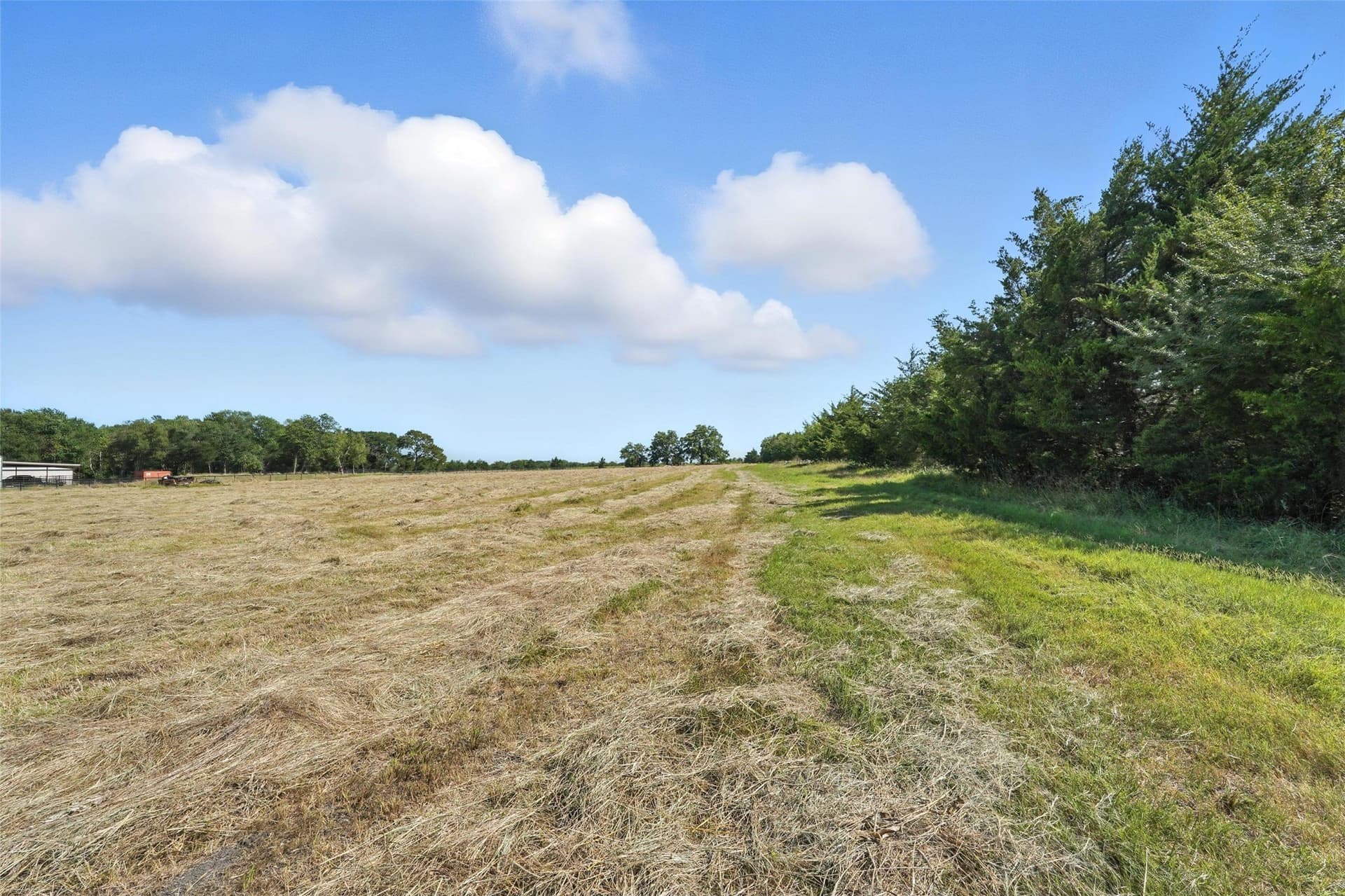138.84 acres in Hunt County - photo 7