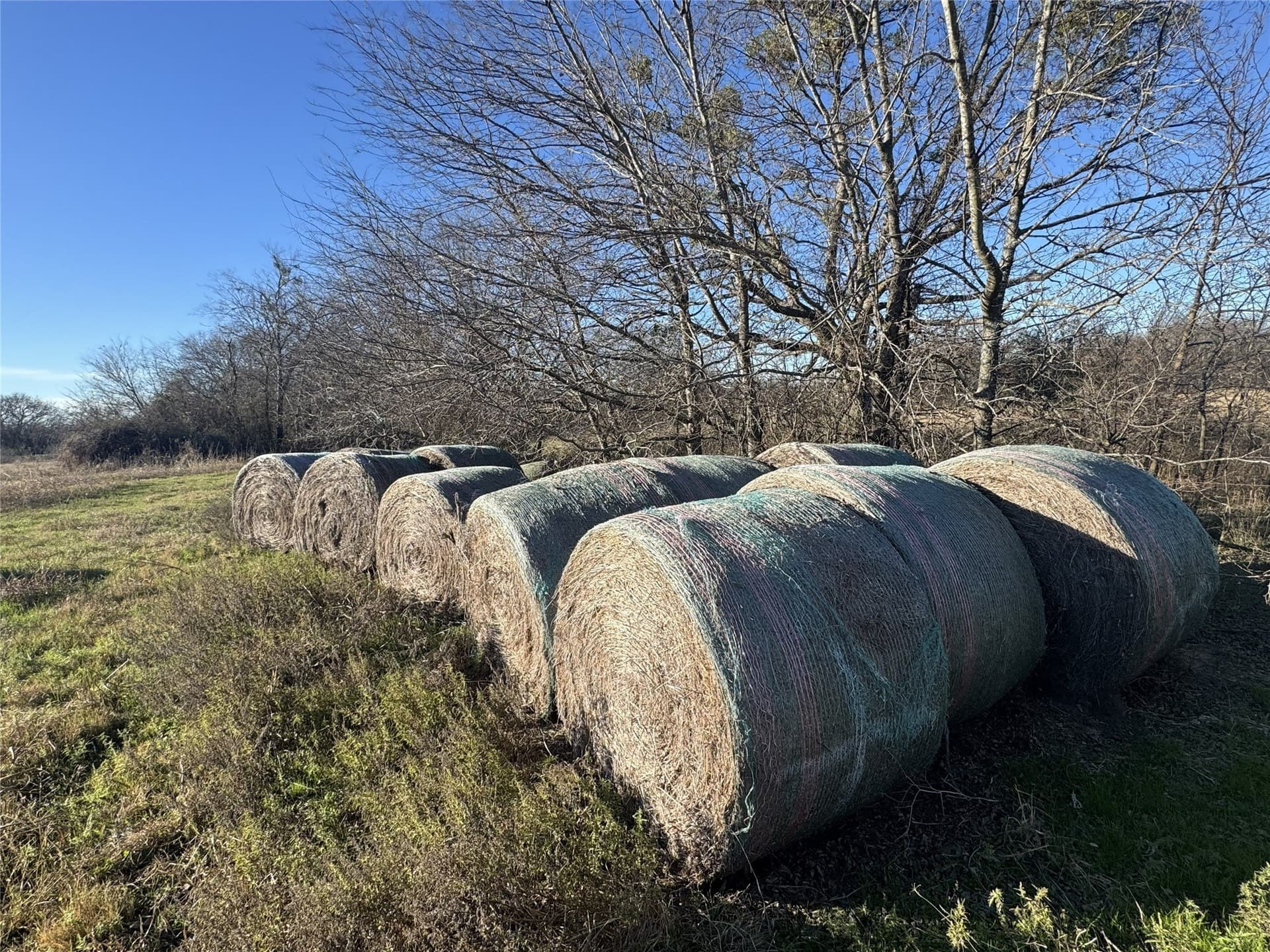 10 acres in Kaufman County - photo 3