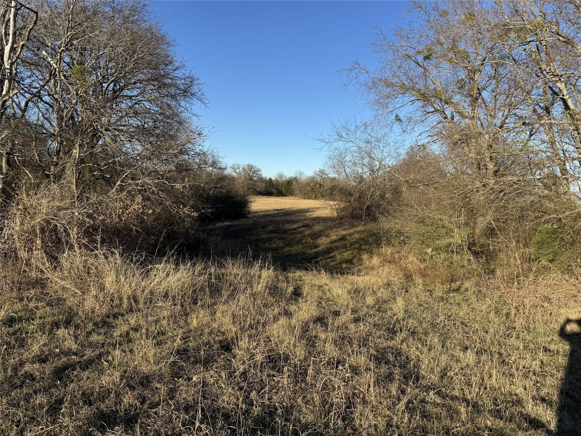 10 acres in Kaufman County - photo 2