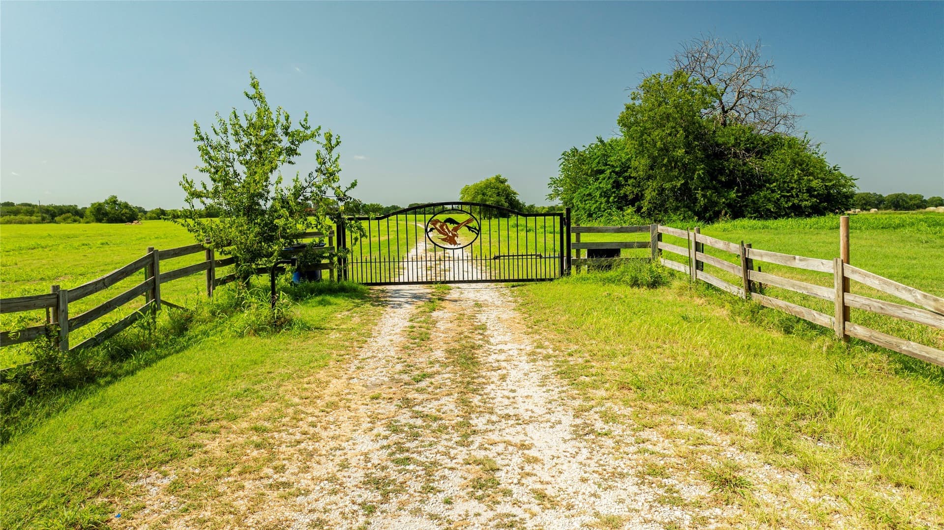 45.78 acres in Denton County - photo 7