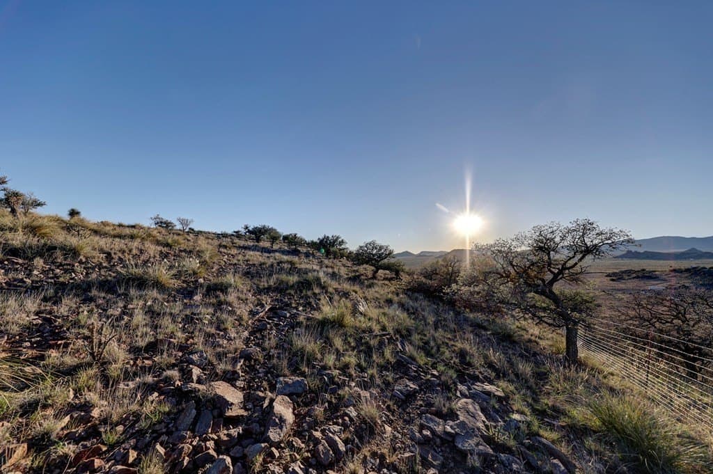 29.73 acres in Jeff Davis County - photo 30