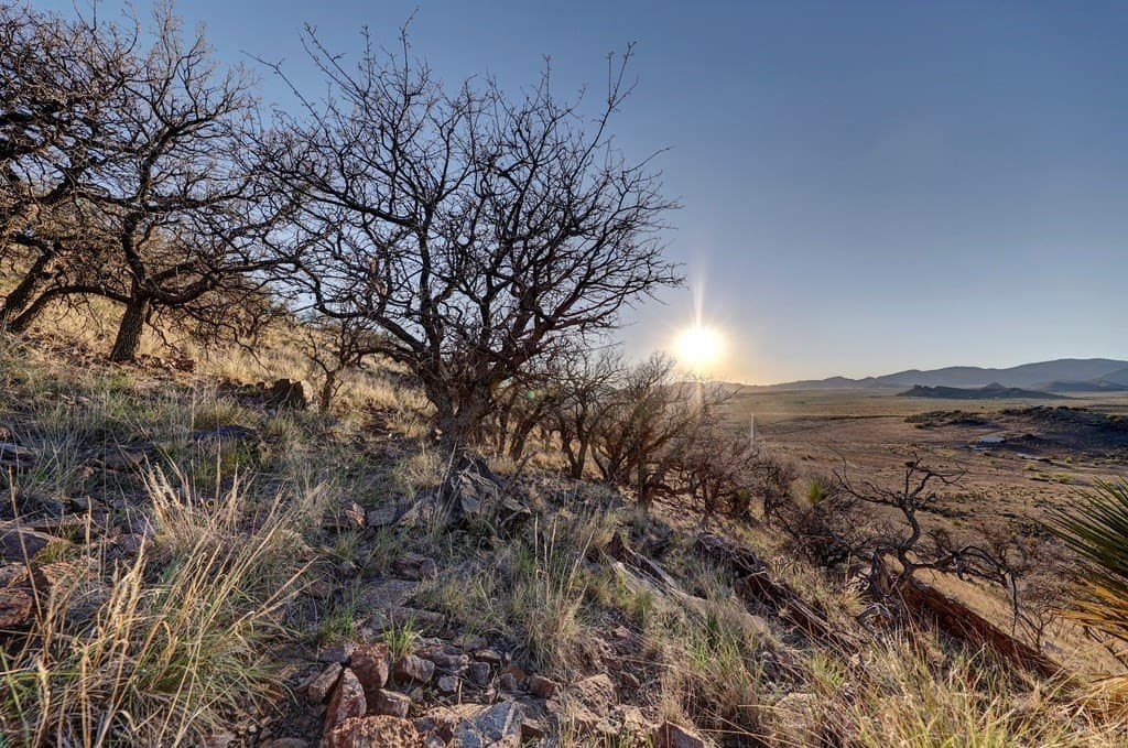 29.73 acres in Jeff Davis County - photo 31