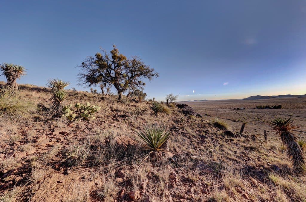 29.73 acres in Jeff Davis County - photo 13