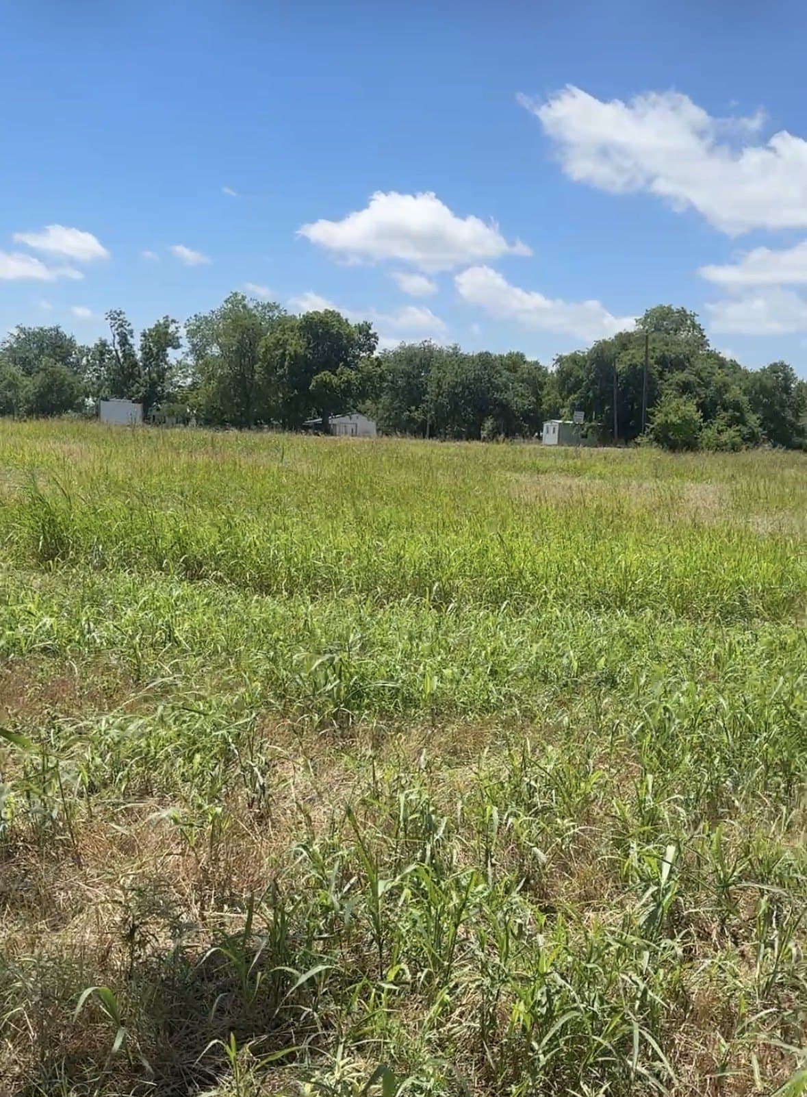 5.87 acres in Montague County gallery image 2