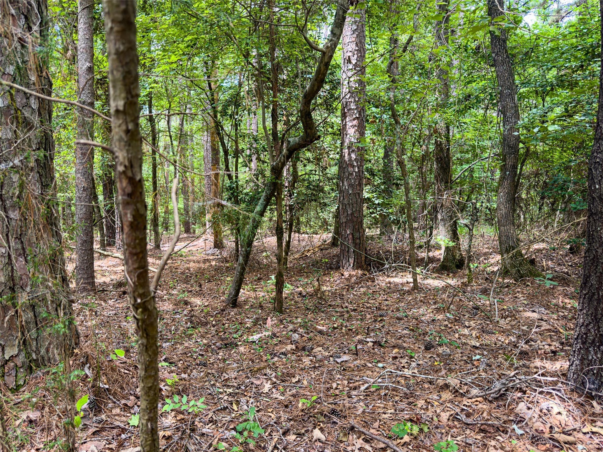 0.11 acres in Cass County - photo 15
