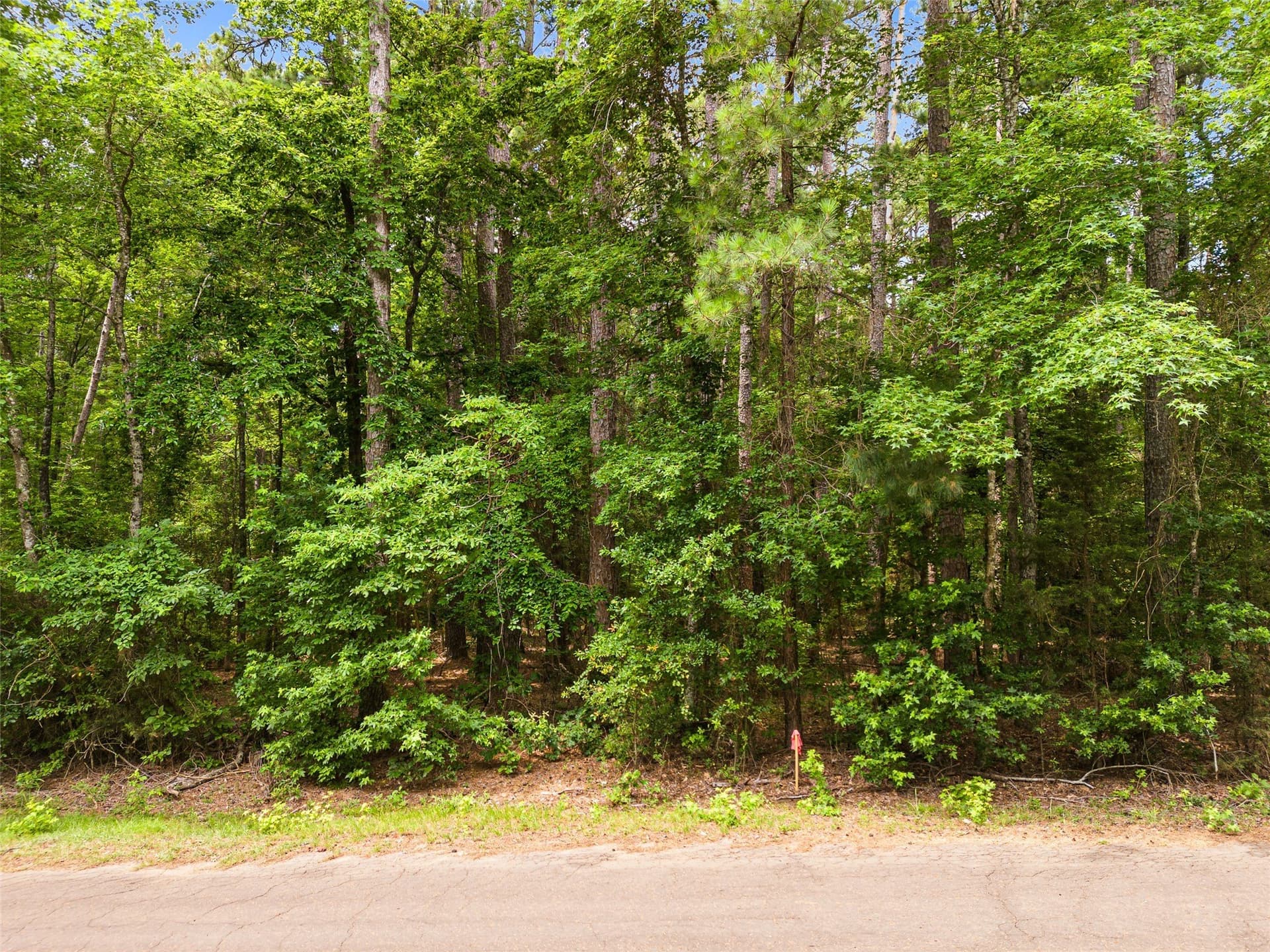 0.11 acres in Cass County - photo 14