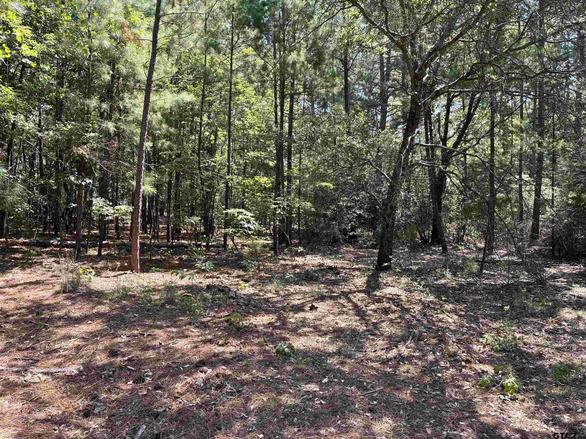 0.34 acres in Wood County gallery image 3