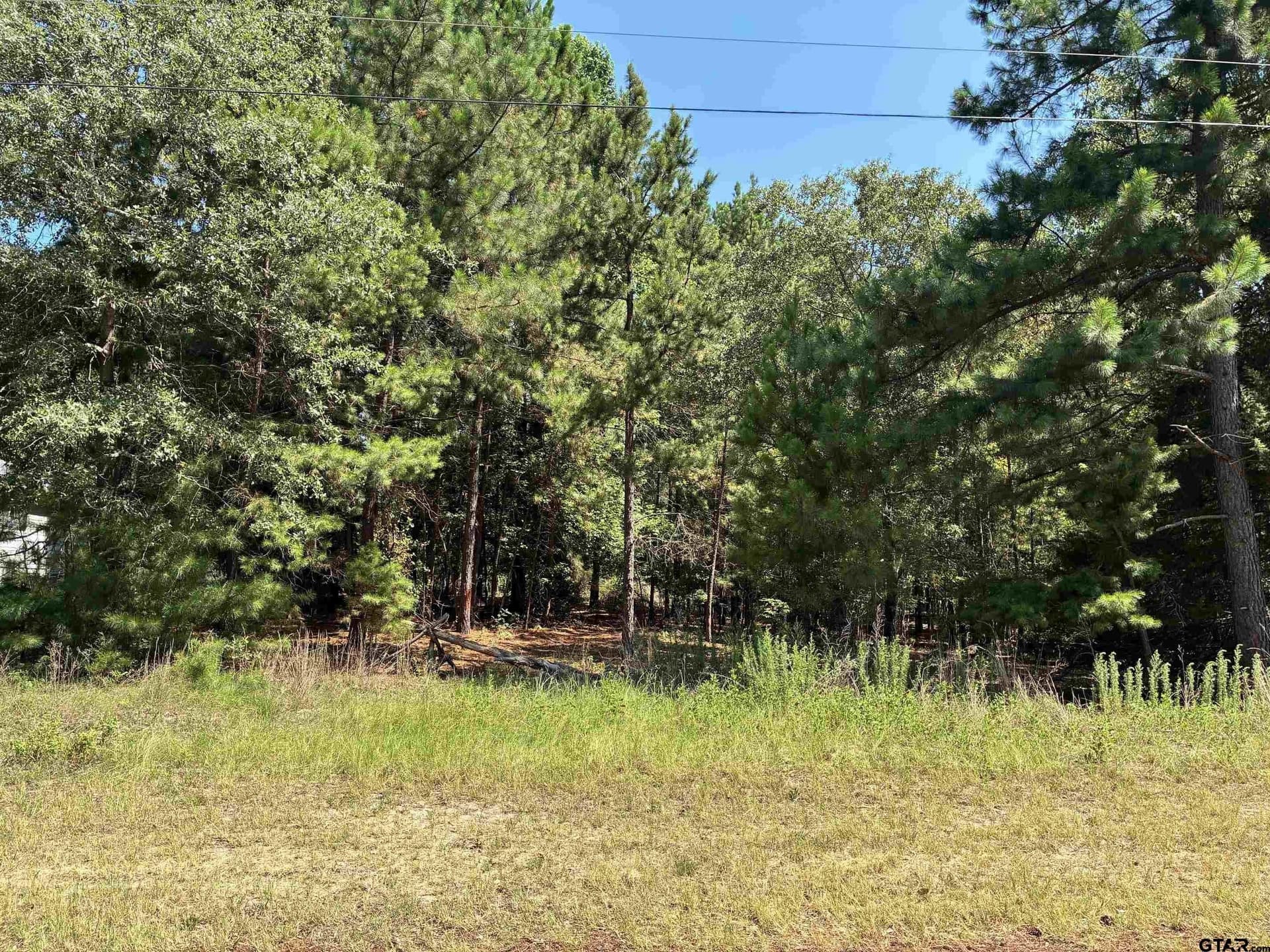 0.34 acres in Wood County gallery image 2