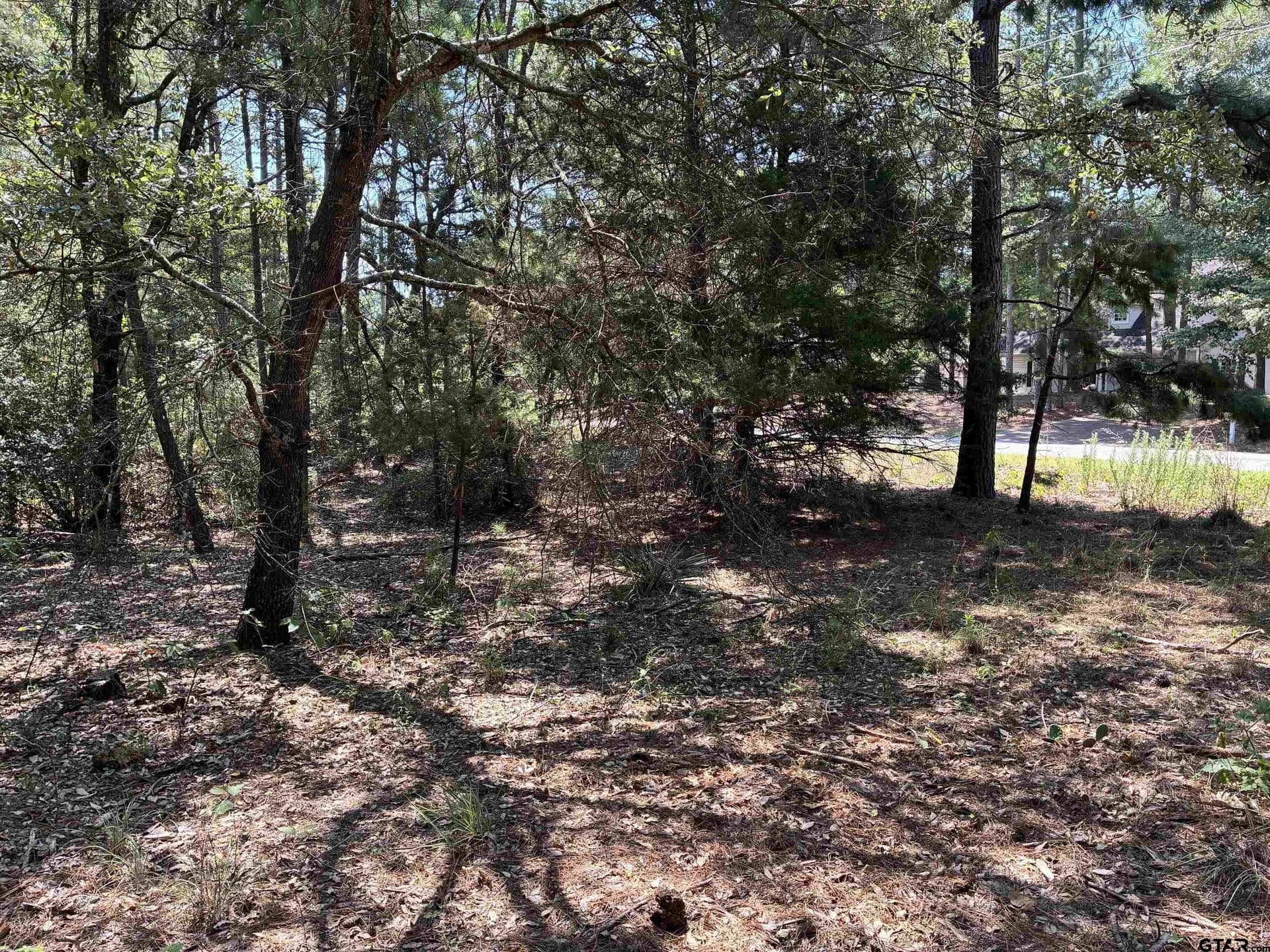 0.34 acres in Wood County featured view