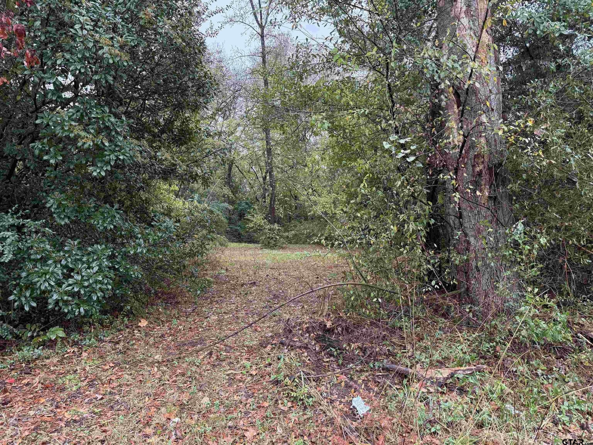 0.26 acres in Smith County gallery image 3