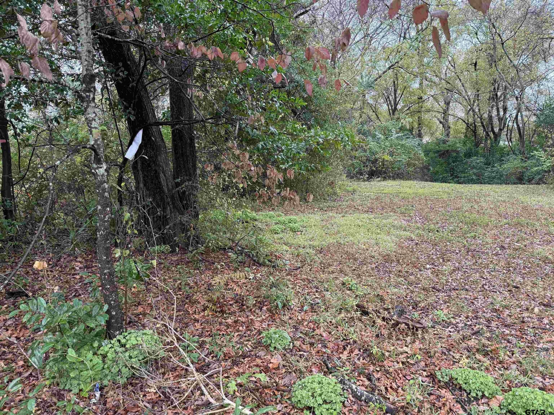 0.26 acres in Smith County gallery image 4