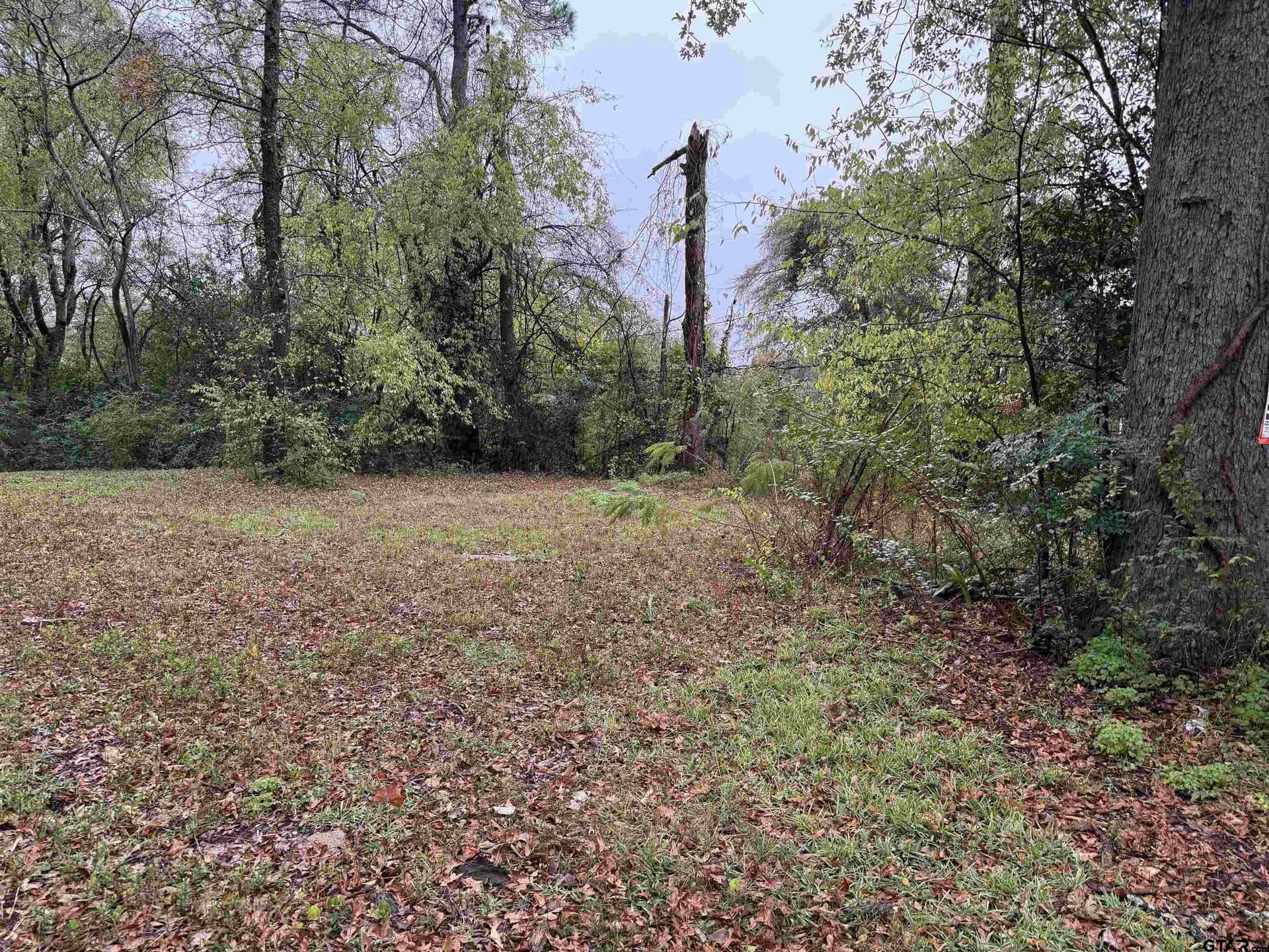 0.26 acres in Smith County gallery image 2