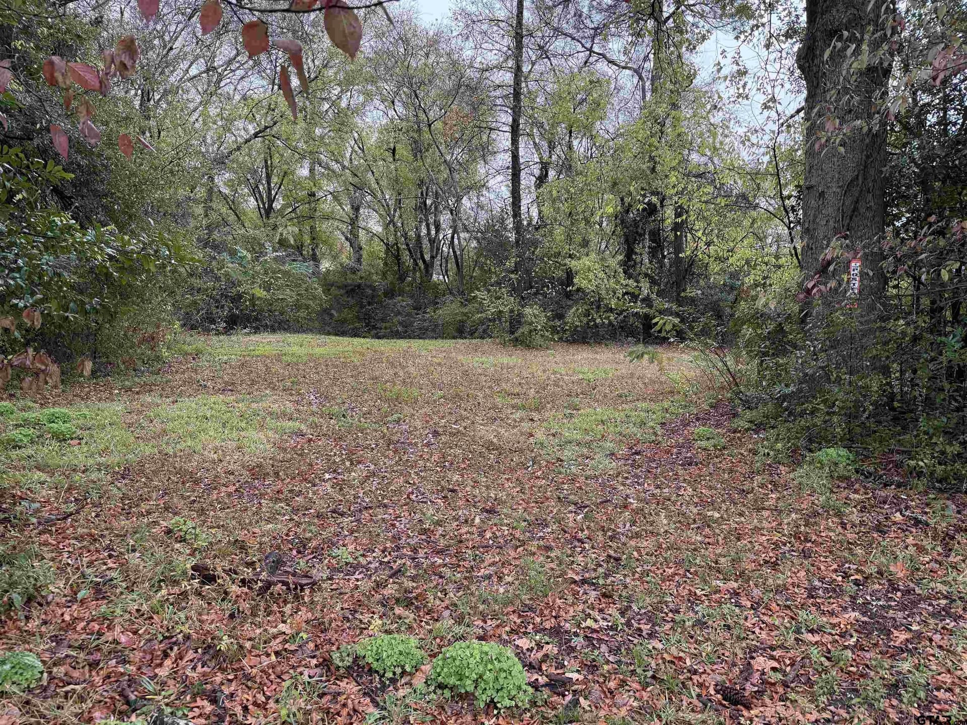 0.26 acres in Smith County
