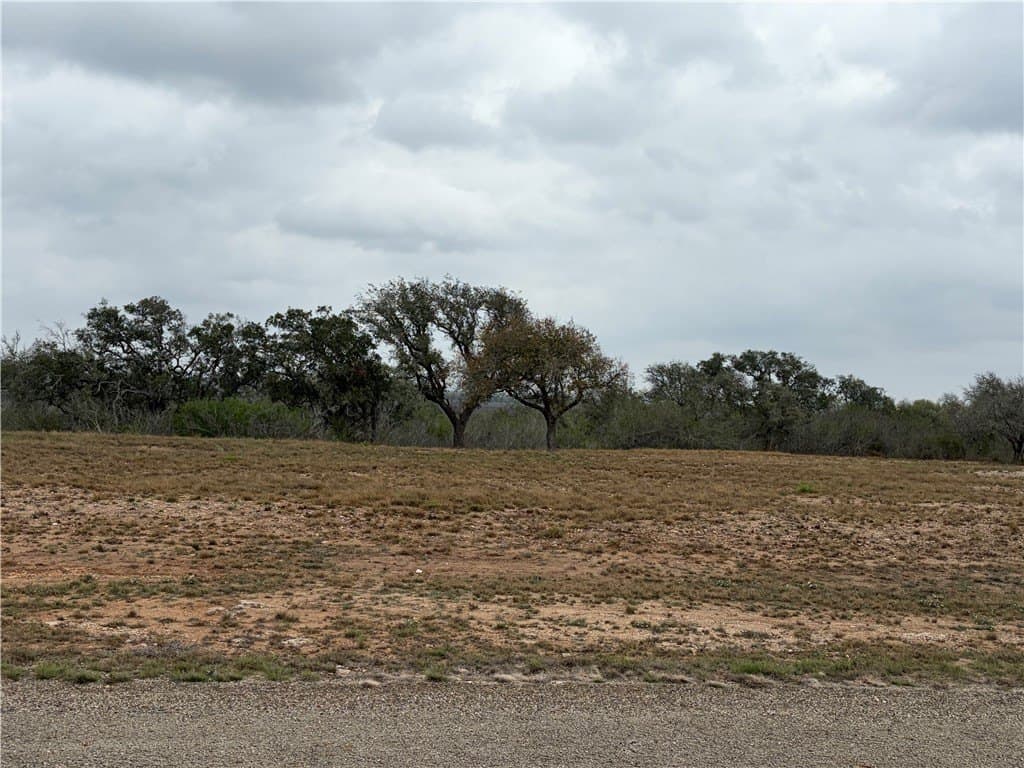 1.6 acres in Live Oak County - photo 13