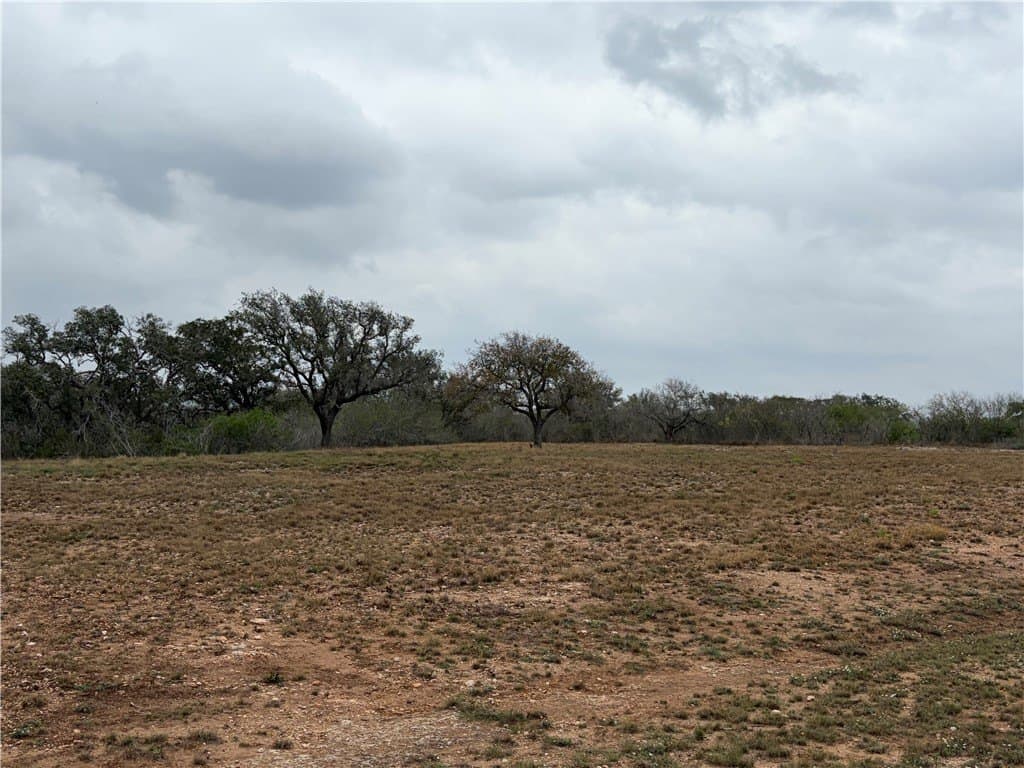 1.6 acres in Live Oak County - photo 10