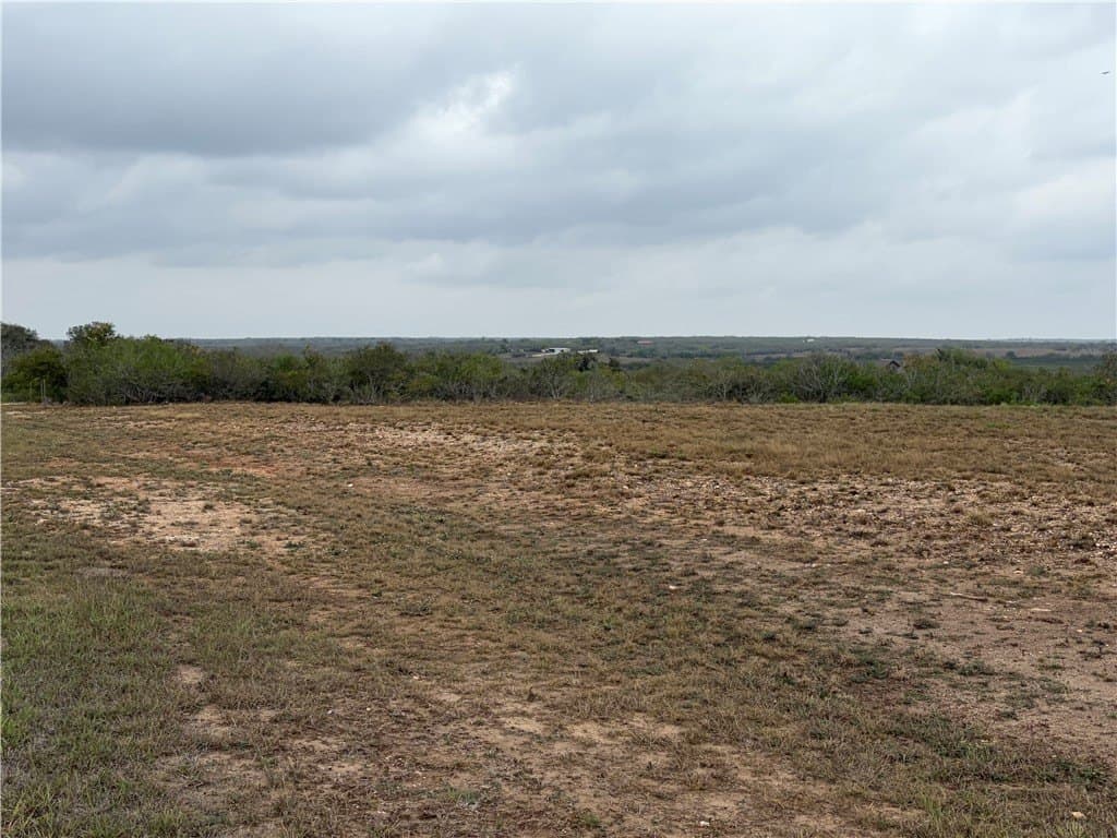 1.6 acres in Live Oak County - photo 14