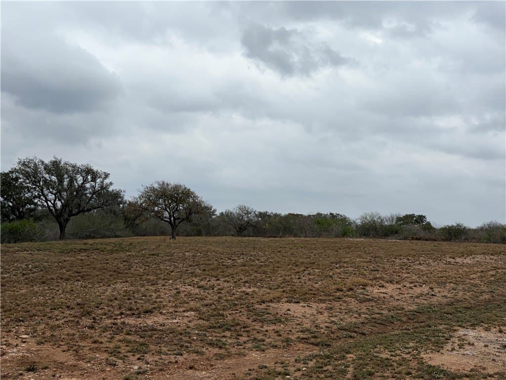 1.6 acres in Live Oak County - photo 11