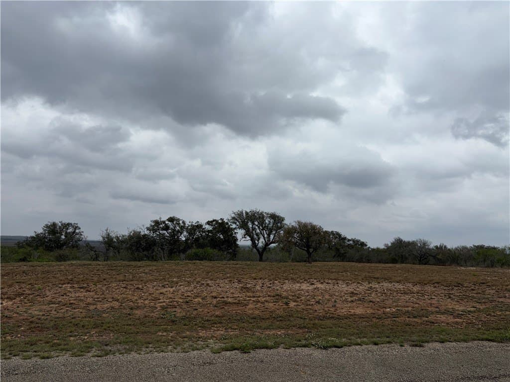 1.6 acres in Live Oak County - photo 9