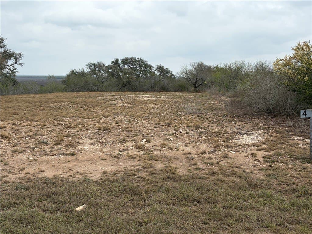 1.6 acres in Live Oak County gallery image 4